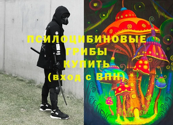 Альфа ПВП Аркадак