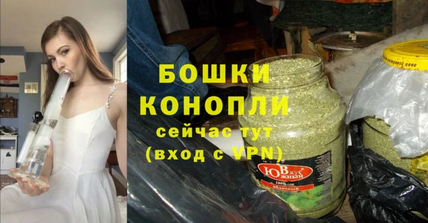 ешки Пересвет
