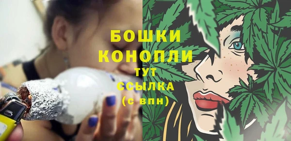 Альфа ПВП Аркадак