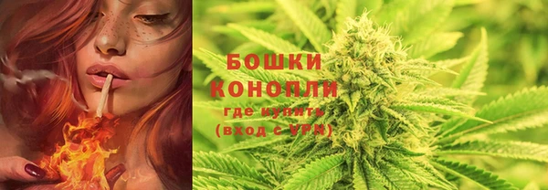 Альфа ПВП Аркадак